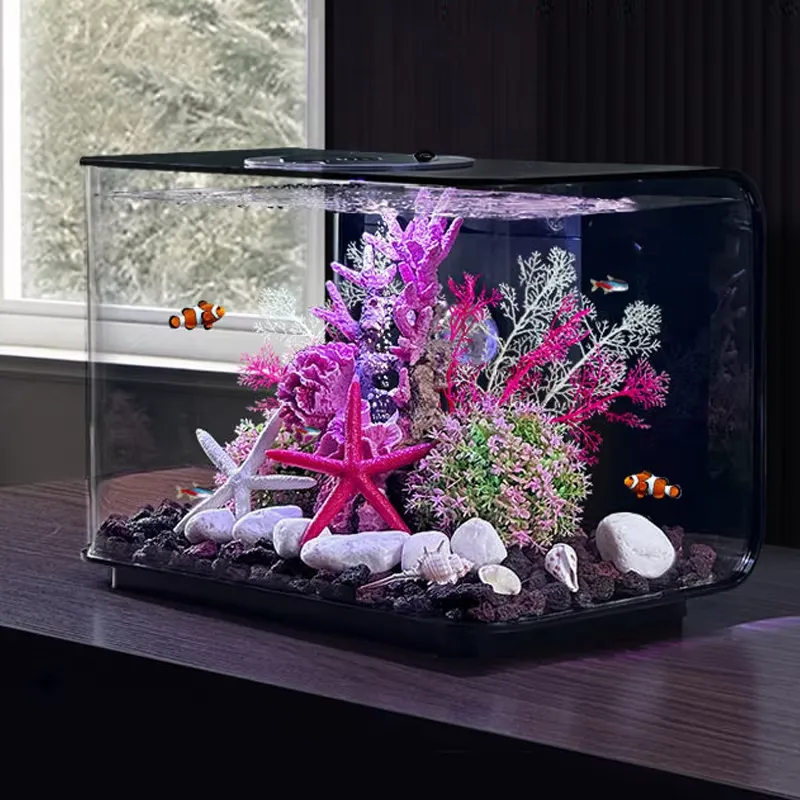 Aquarium Fish Supplier - Aquarium Living Room Small Fish tank