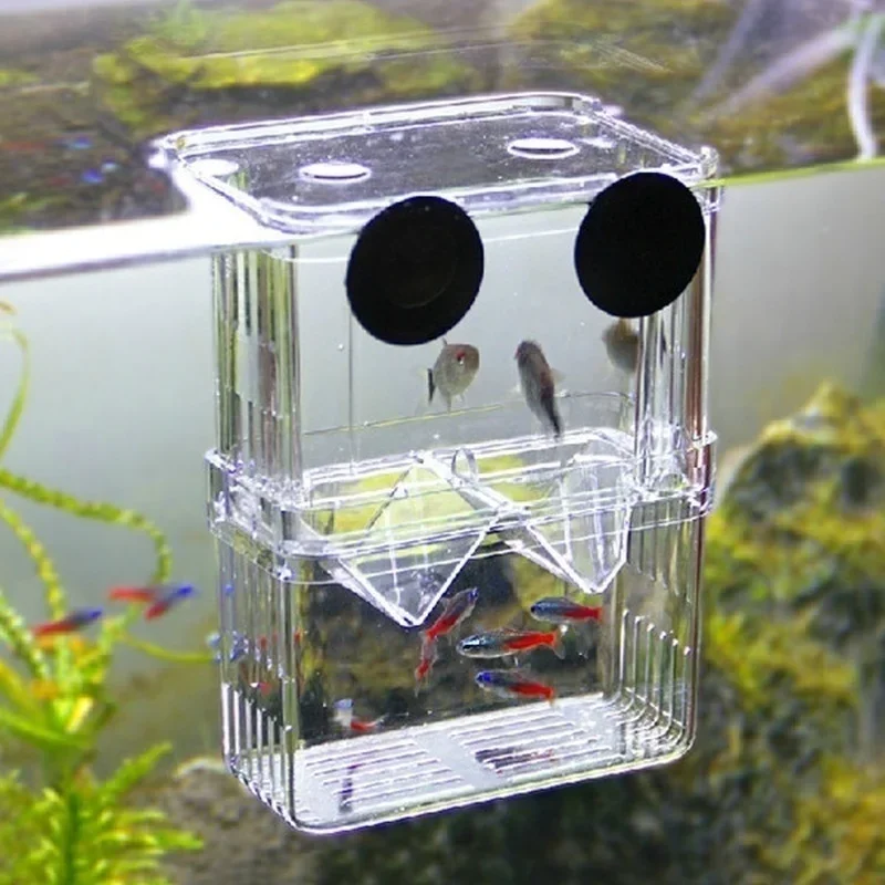 Aquarium Fish Background - Multifunctional Fish Aquarium High Clear Fish