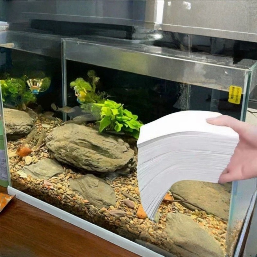 50pcs Multifunctional Filter A - Aquarium Fish Yellow 评论和价格