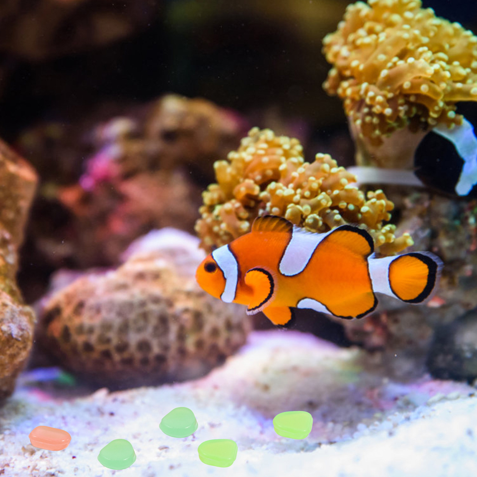 400Pcs Glowing Night Pebbles A - Aquarium Fish Glow In The Dark 评论和价格