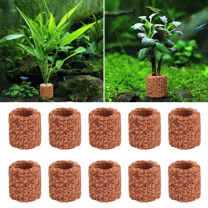 Aquatic Plant Fixed Ring for A - Aquarium Fish Hide 评论和价格