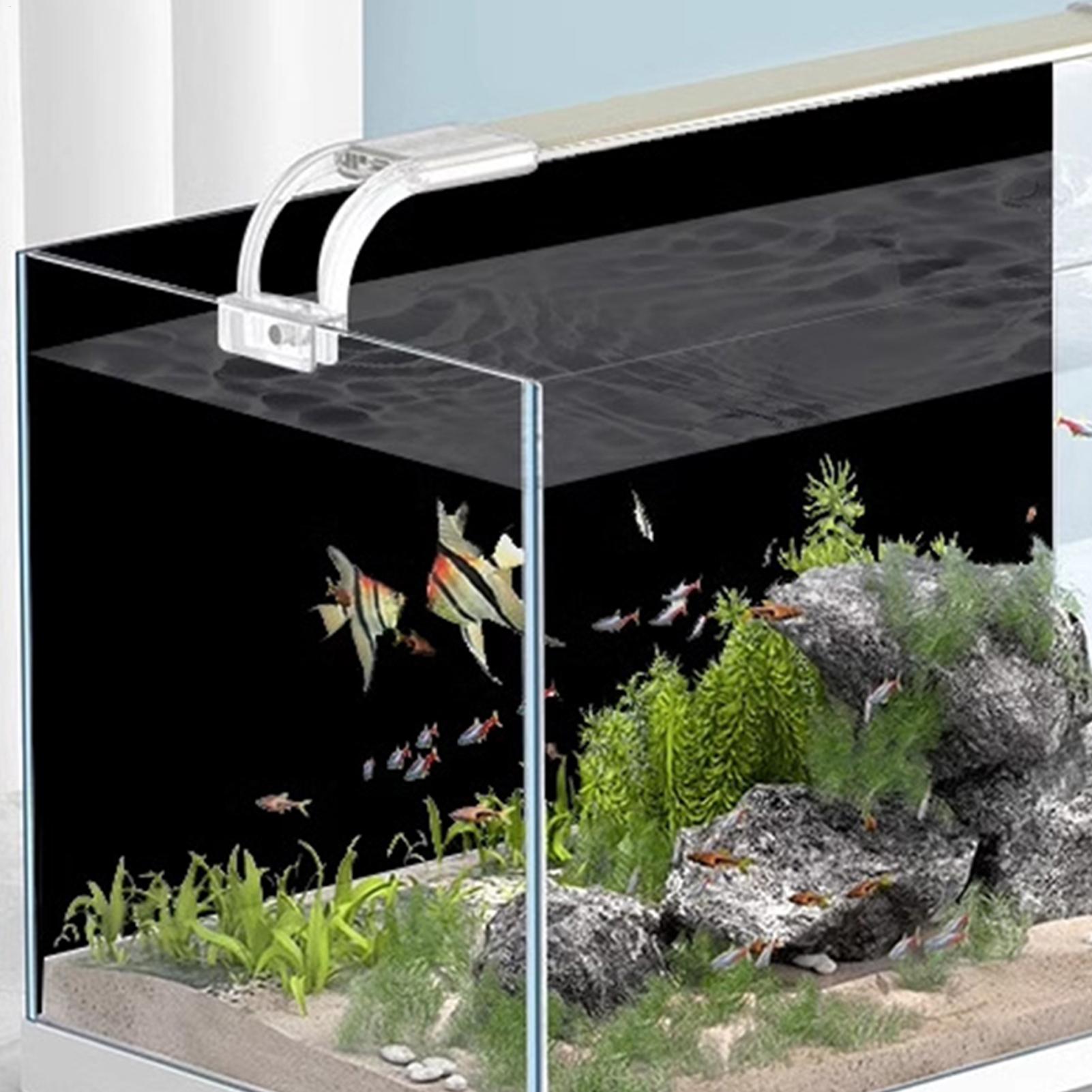 Fish Tank BackgroundSticker Bl - Aquarium Fish Background 评论和价格