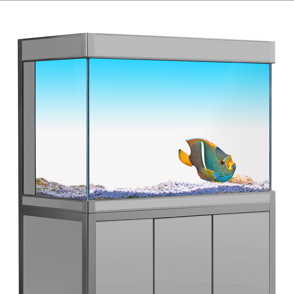 Fish Tank Background Sticker W - Aquarium Fish Yellow 评论和价格