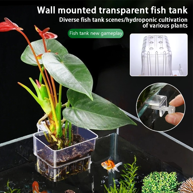Aquarium Hanging Planter Cups  - Aquarium Fish Background 评论和价格