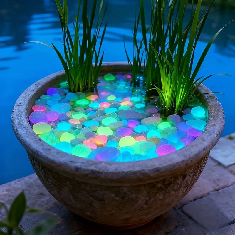200Pcs Glow in the Dark Garden - Aquarium Fish Glow In The Dark 评论和价格