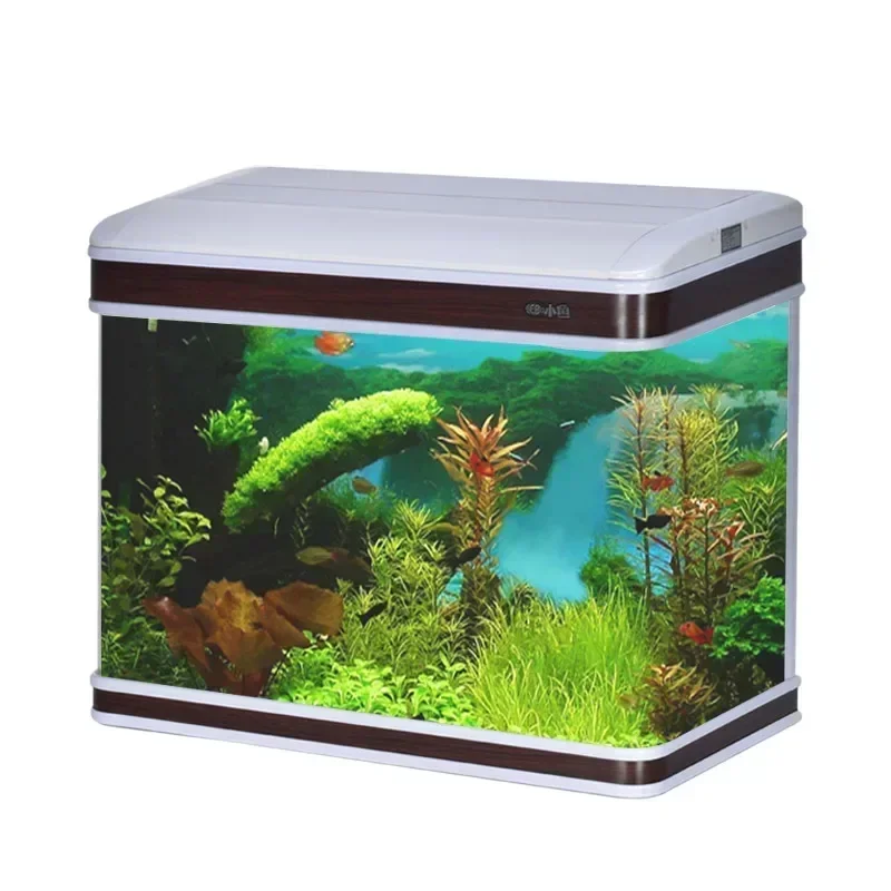 Professional Aquarium Supplier - Aquarium Fish Supplier 评论和价格