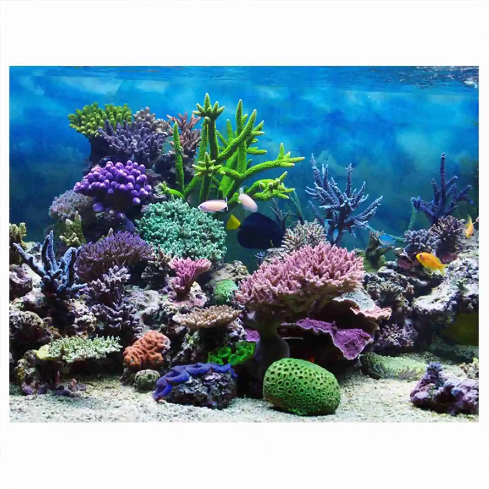 3D Aquarium Landscape Poster R - Aquarium Fish Background 评论和价格