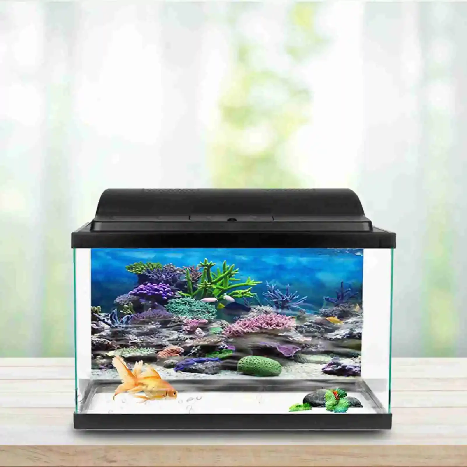 3D Aquarium Landscape Poster R - Aquarium Fish Background 评论和价格