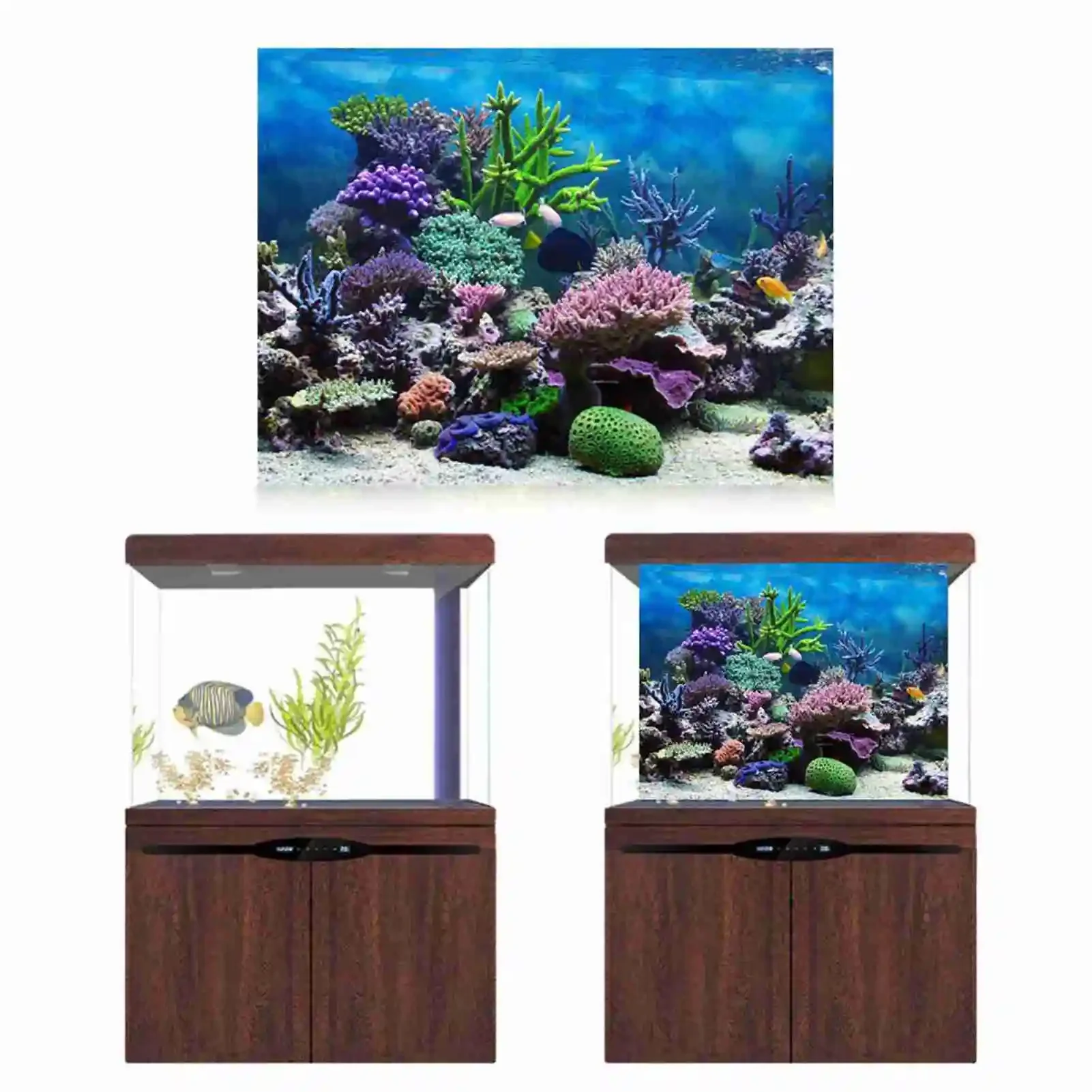 3D Aquarium Landscape Poster R - Aquarium Fish Background 评论和价格
