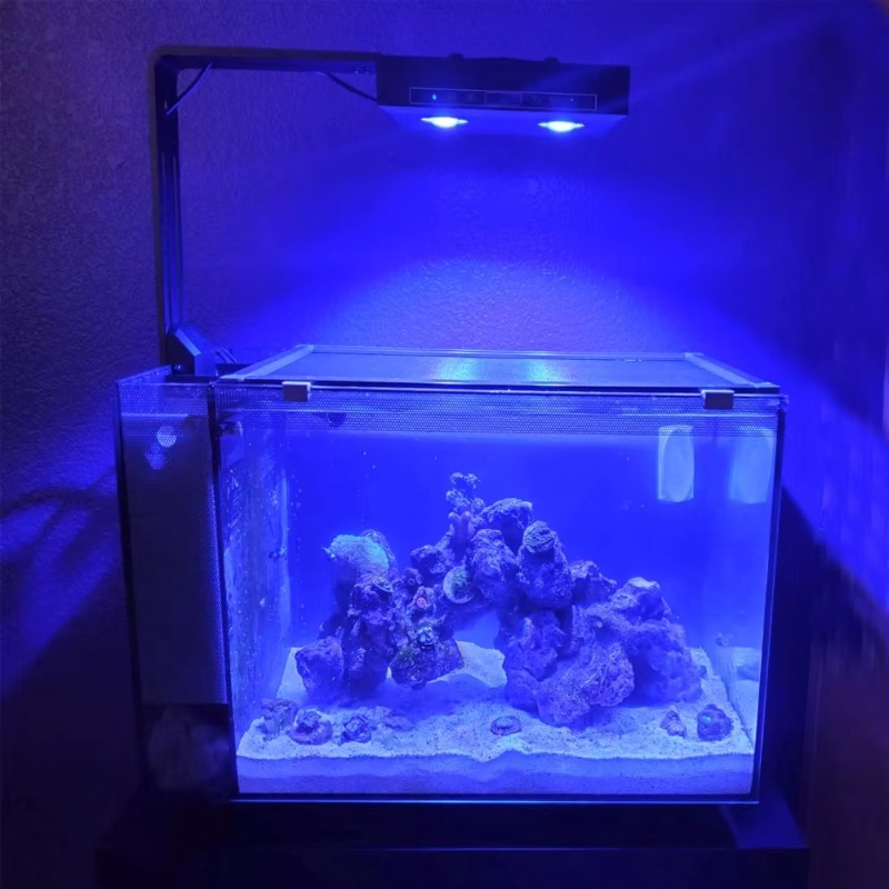 China Supplier Dimmable 95W Fu - Aquarium Fish Supplier 评论和价格