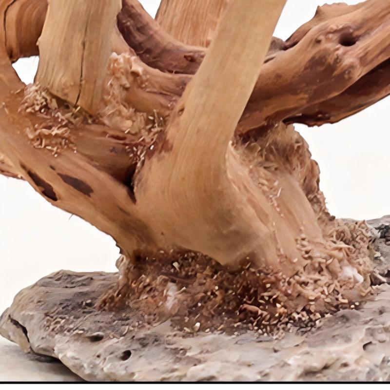 1PC Aquarium Landscaping Wood  - Aquarium Fish Names 评论和价格