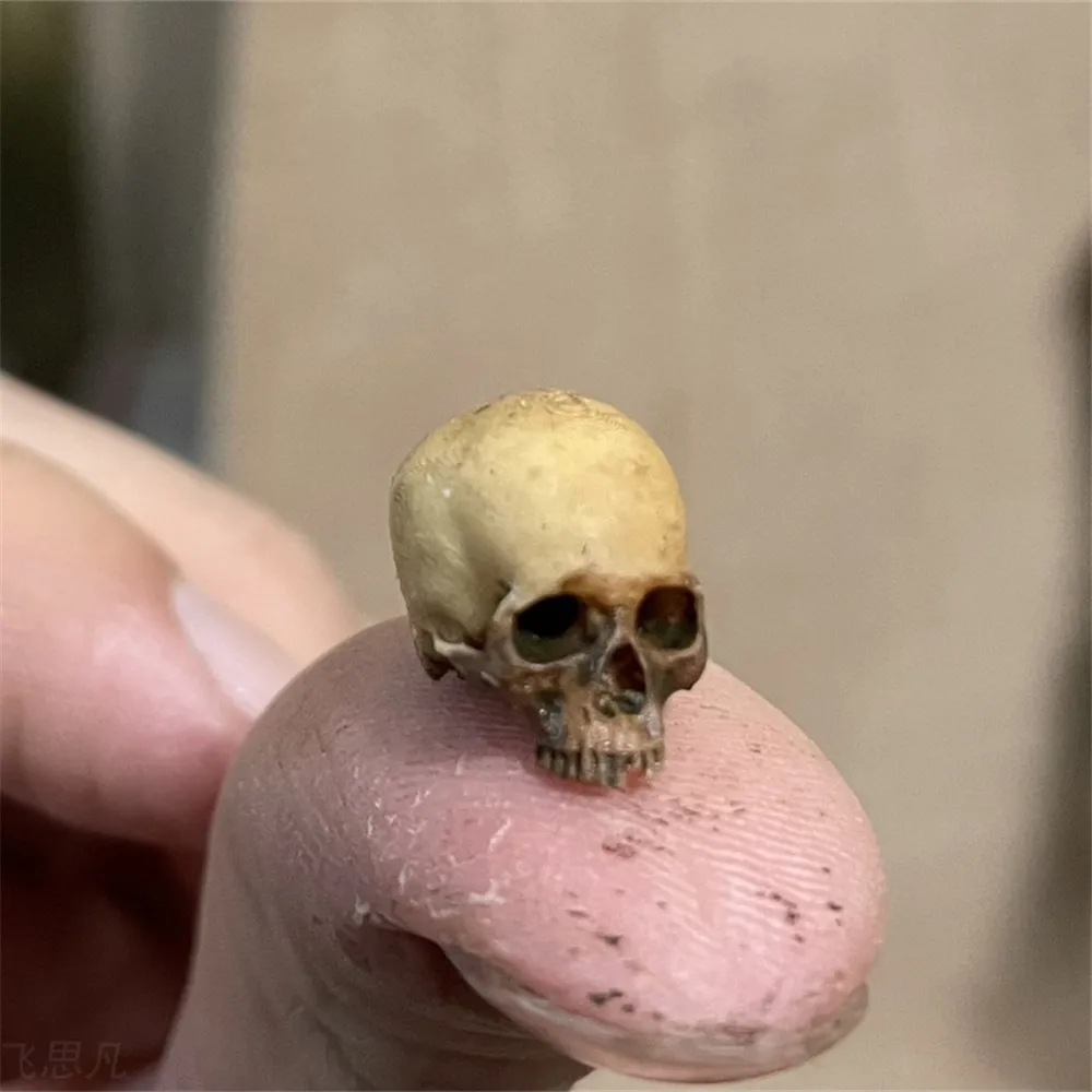 Mini Skull High Quality Miniat - Aquarium Fish Names 评论和价格