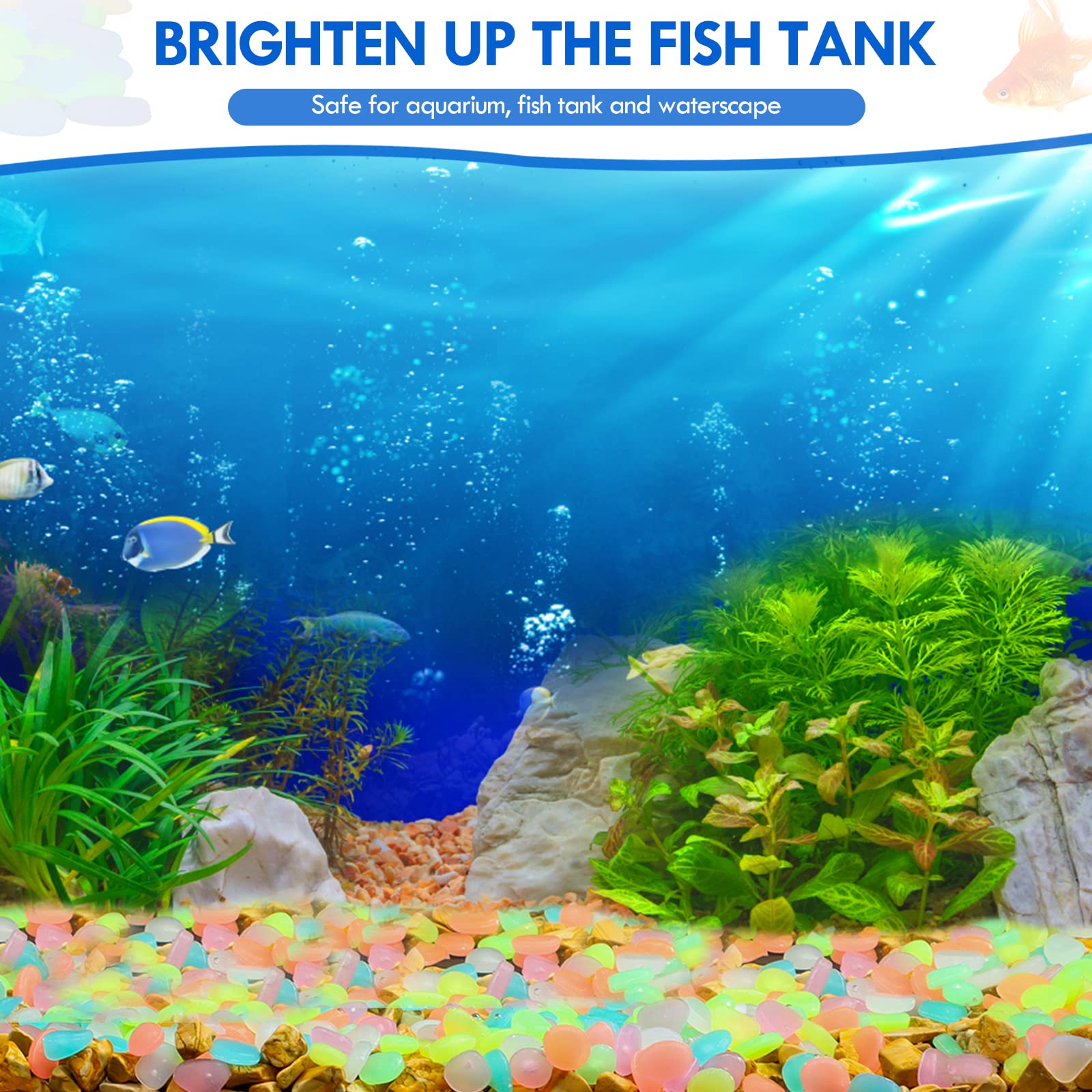 100Pcs Glow in the Dark Garden - Aquarium Fish Glow In The Dark 评论和价格