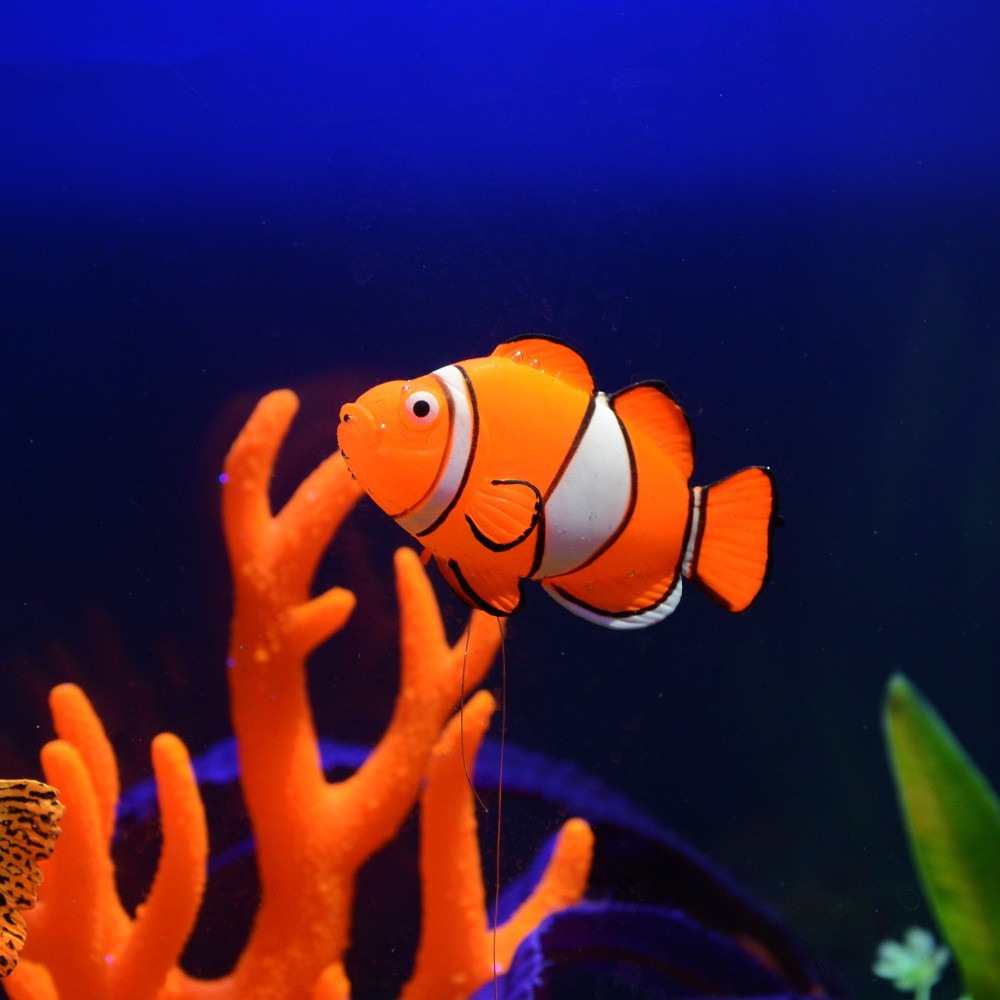 Glow in the Dark Luminous Sili - Aquarium Fish Glow In The Dark 评论和价格