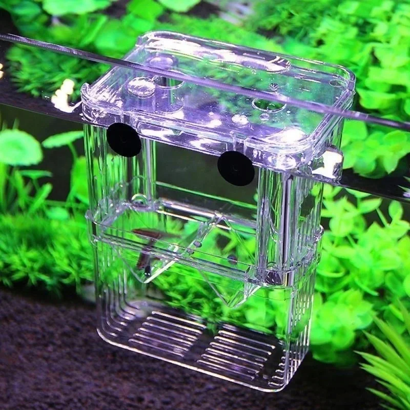 Multifunctional Fish Aquarium  - Aquarium Fish Background 评论和价格